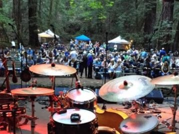 Old Grove Festival