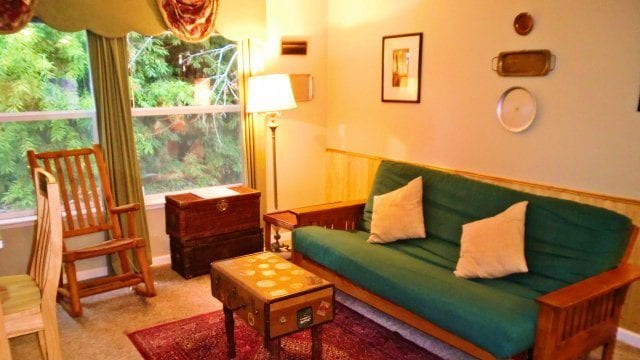 Egret living room and view