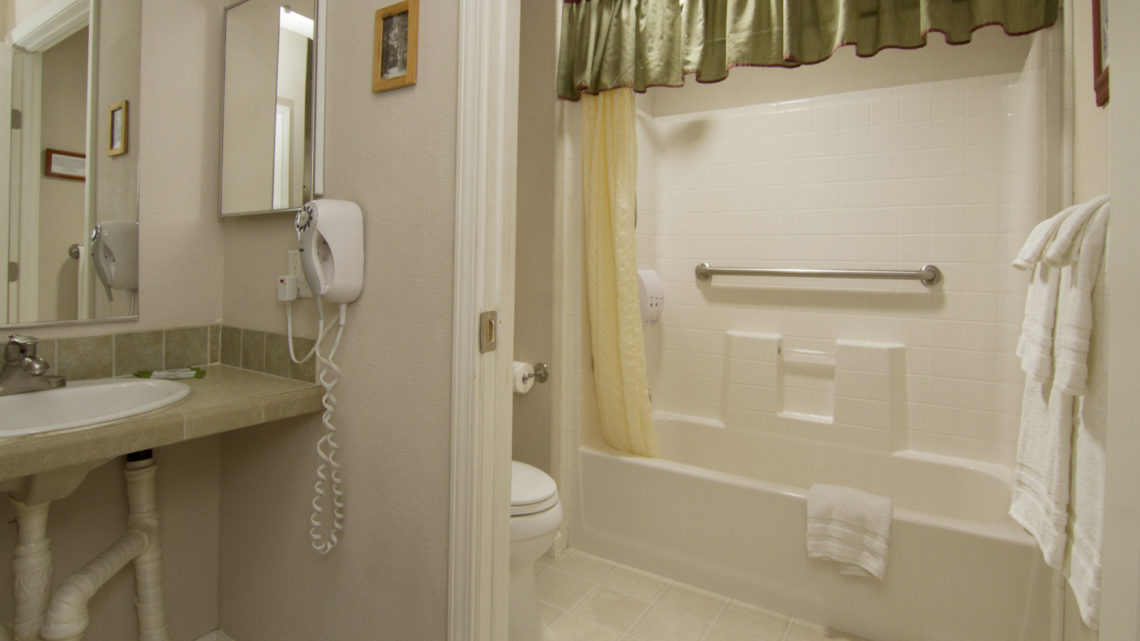 Iris Suite bathroom
