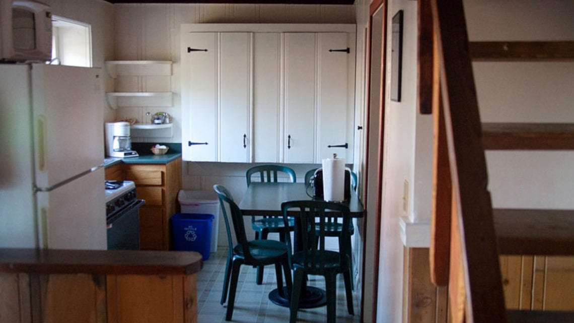 Tree House Cabin kitchen at Creekside Resort