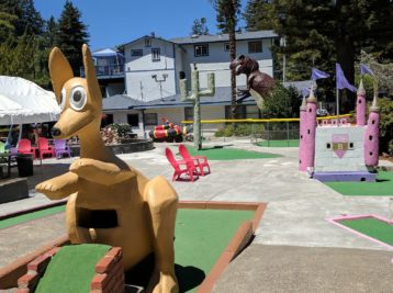 Pee Wee Golf & Arcade
