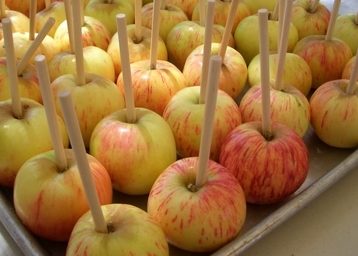 Gravenstein Apple Fair