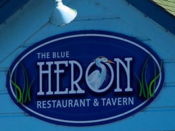 Blue Heron