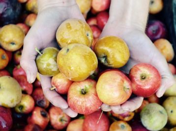Community Cider Fest