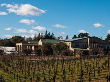 Merry Edwards Winery