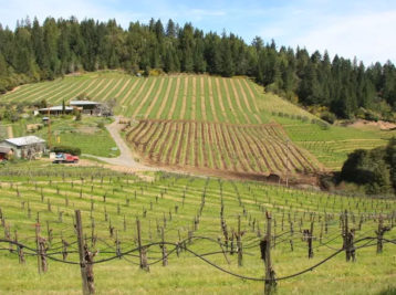 Porter Bass Winery